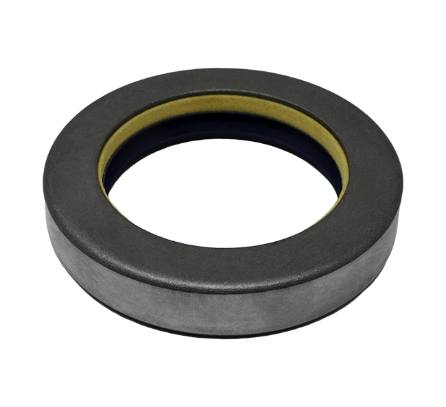 Case  Seal, Shaft