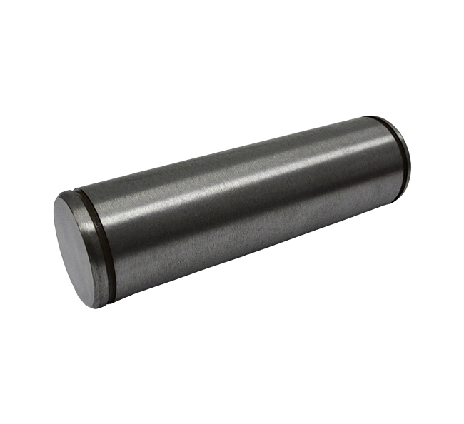 Case  Pin