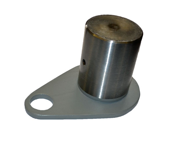 Case  Pin