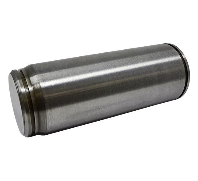 Case  Pin