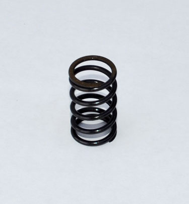 Case  Spring