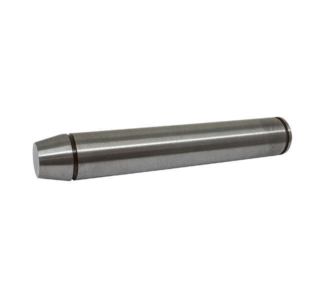 Case  Pin
