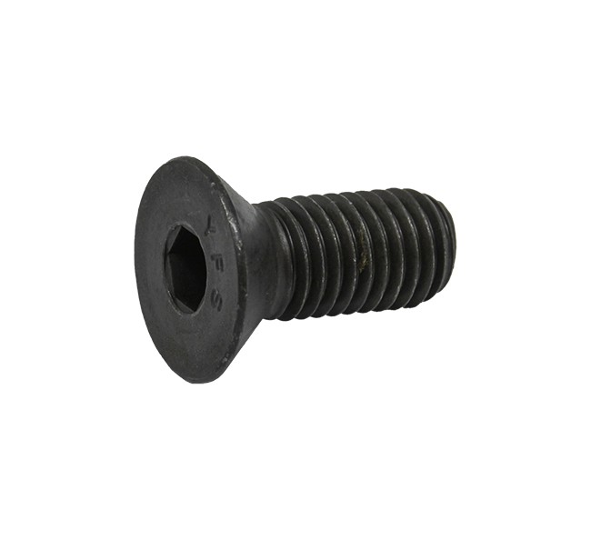 Case  Socket Head Bolt