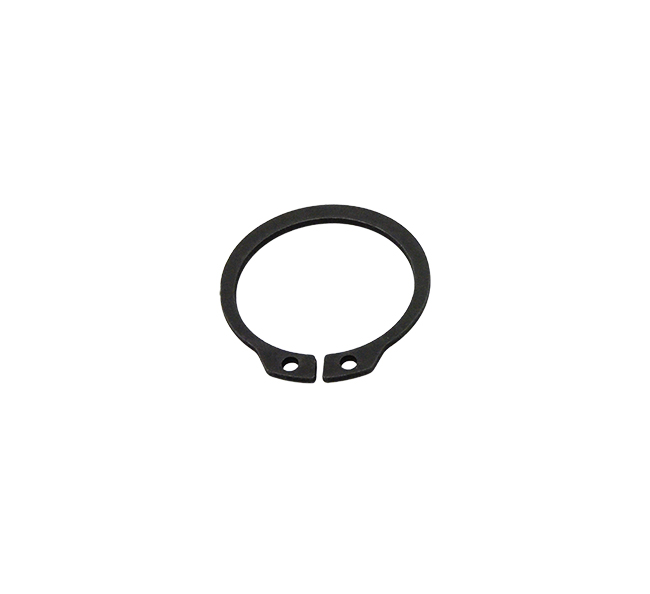 Case  Snap Ring