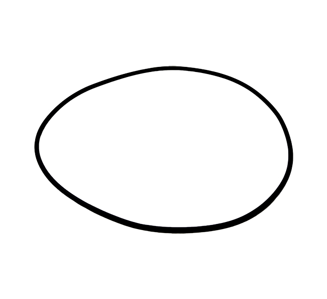 Case  O-ring