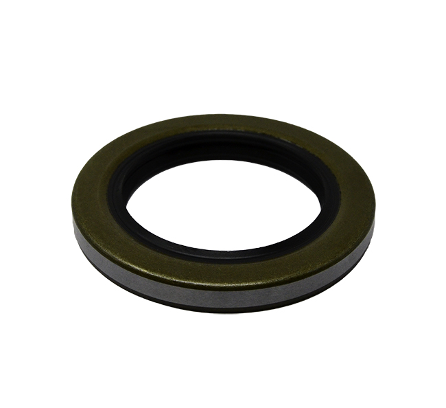 Skf  Seal