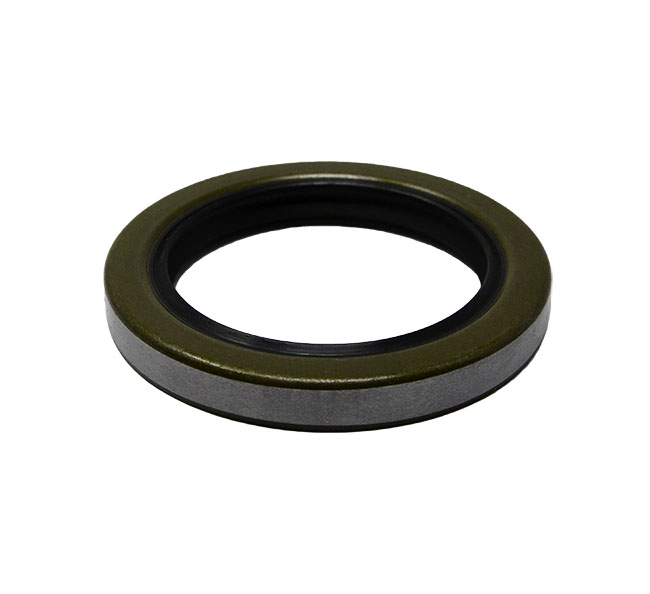 Skf  Seal