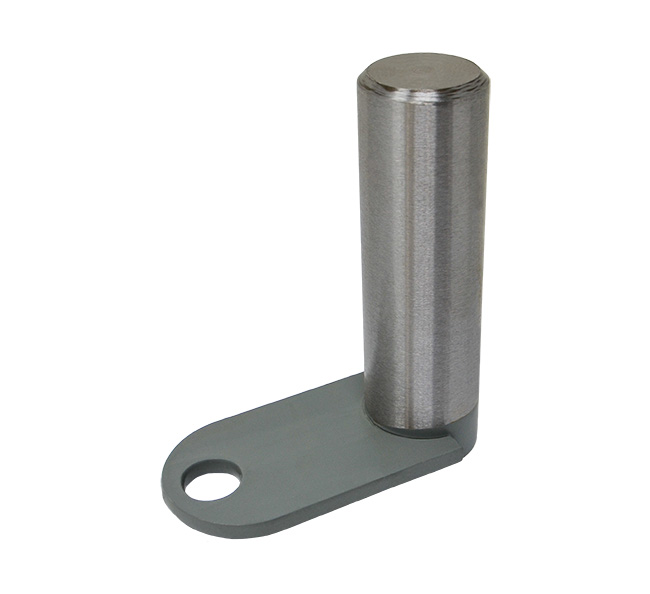 Case  Pin