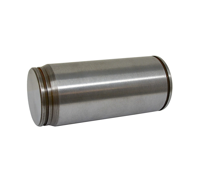 Case  Pin