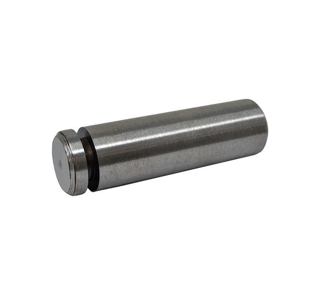 Case  Pin