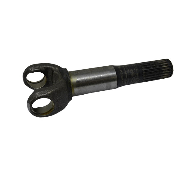 Case  Shaft