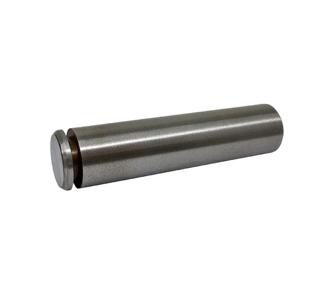 Case  Pin